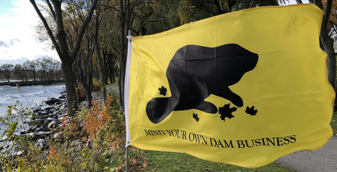Mind Your Own Dam Business - Flag